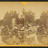 The fountains, Union Park.
