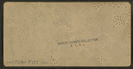 Herd of sheep in the Great Runways, Union Stock Yards [stockyards], Chicago.