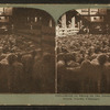 Herd of sheep in the Great Runways, Union Stock Yards [stockyards], Chicago.