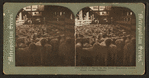 Herd of sheep in the Great Runways, Union Stock Yards [stockyards], Chicago.