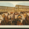 Union Stock Yards [stockyards], Chicago
