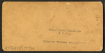 In the Great Union Stock Yards [stockyards], Chicago, U.S.A.