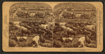 In the Great Union Stock Yards [stockyards], Chicago, U.S.A.