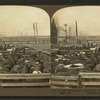 A busy morning in the Great Union Stock Yards [stockyards], Chicago, Ill.