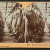 Hanging room, Armour's packing house, Chicago, Ill.