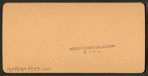 Union Stock Yards [stockyards], Texas cattle, Chicago, Ill., U.S.A.