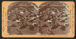 Union Stock Yards [stockyards], Texas cattle, Chicago, Ill., U.S.A.