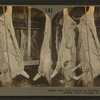 The last process in dressing beef: washing with boiling water. Chicago, Ill., U.S.A.