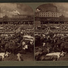 Cattle in the Great Union Stock Yards, the greatest of the live stock markets, Chicago, Ill.