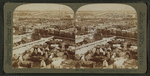 Cattle in the Great Union Stock Yards, the greatest of the live stock markets, Chicago, Ill.