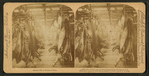A half-mile of pork, Armour's great packing house, Chicago, Ill.