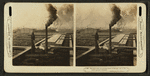 The stock yards and packing houses of Chicago - one of the world's greatest industries.