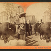 Buffalo Indian chief. [People looking at a buffalo on an unidentified street.]