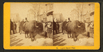 Buffalo Indian chief. [Plooking at a buffalo on an unidentified street.]