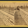 Viaduct, foot of Randolph Stret.