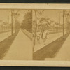 Grand Boulevard, Chicago.