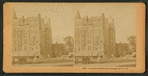 Along the Boulevard, Chicago, Ill., U.S.A.