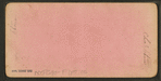 View after the Chicago fire.