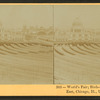 World's Fair. Bird's-eye view, looking east, Chicago, Ill., U.S.A.
