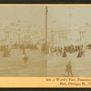 Fountain and Agricultural Hall, World's Fair, Chicago, Ill., U.S.A.