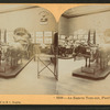 An Eastern Turn out, Field's Columbian Museum, Chicago, Ill., U.S.A.