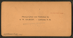The surging sea of humanity at the opening of the Columbian Exposition.