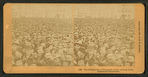 The surging sea of humanity at the opening of the Columbian Exposition.