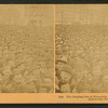 The surging sea of humanity at the opening of the Columbian Exposition.