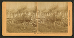 Deere & Co. exhibit, Columbian Exposition. [Showing deer pulling farm implements]