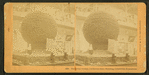 The great orange, California State building, Columbian Exposition.