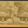 Exhibit of fur bearing animals, Liberal Arts building, World's Columbian Exposition.