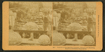 Exhibit of fur bearing animals, Liberal Arts building, World's Columbian Exposition.
