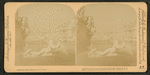 A section of the Columbia Fountain, World's Fair, Chicago, U.S.A.