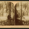 War department, U.S. Government building, World's Fair, Chicago, U.S.A.