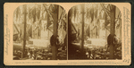 War department, U.S. Government building, World's Fair, Chicago, U.S.A.