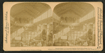 Fisheries exhibit, U.S. Government building, World's Fair, Chicago, U.S.A.