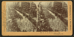 G.A.R Review, Sept. 5, 1893, Indianapolis, Ind., U.S.A.