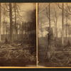 Stereoscopic views of Indiana.