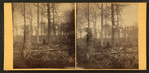 Stereoscopic views of Indiana.