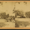[Street view with horse and buggy in middle ground, trees and buildings beyond.]