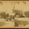 Street view with horse and buggy in middle ground, trees and buildings beyond.