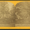 Young ladies pleasure ground at seminary.