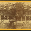 People gathered at a park, wagons and buggies near picket fence.