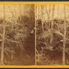 Burt's Cave, near Maquoketa River, Jackson County, Iowa.