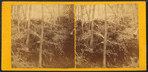 Burt's Cave, near Maquoketa River, Jackson County, Iowa.