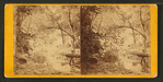 Lumber being moved through forest, Sioux City, Iow.