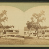 Passengers leaving the 'Hiawatha' at Arnold's Park, West Okobji Lake.