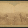 Man in a buggy. Spirit Lake, Iowa.
