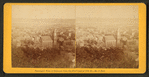 Panoramic view of Dubuque from the Bluff head of 11th St.-- No. 5 East.