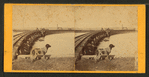 Railroad bridge with a dog in the foreground.